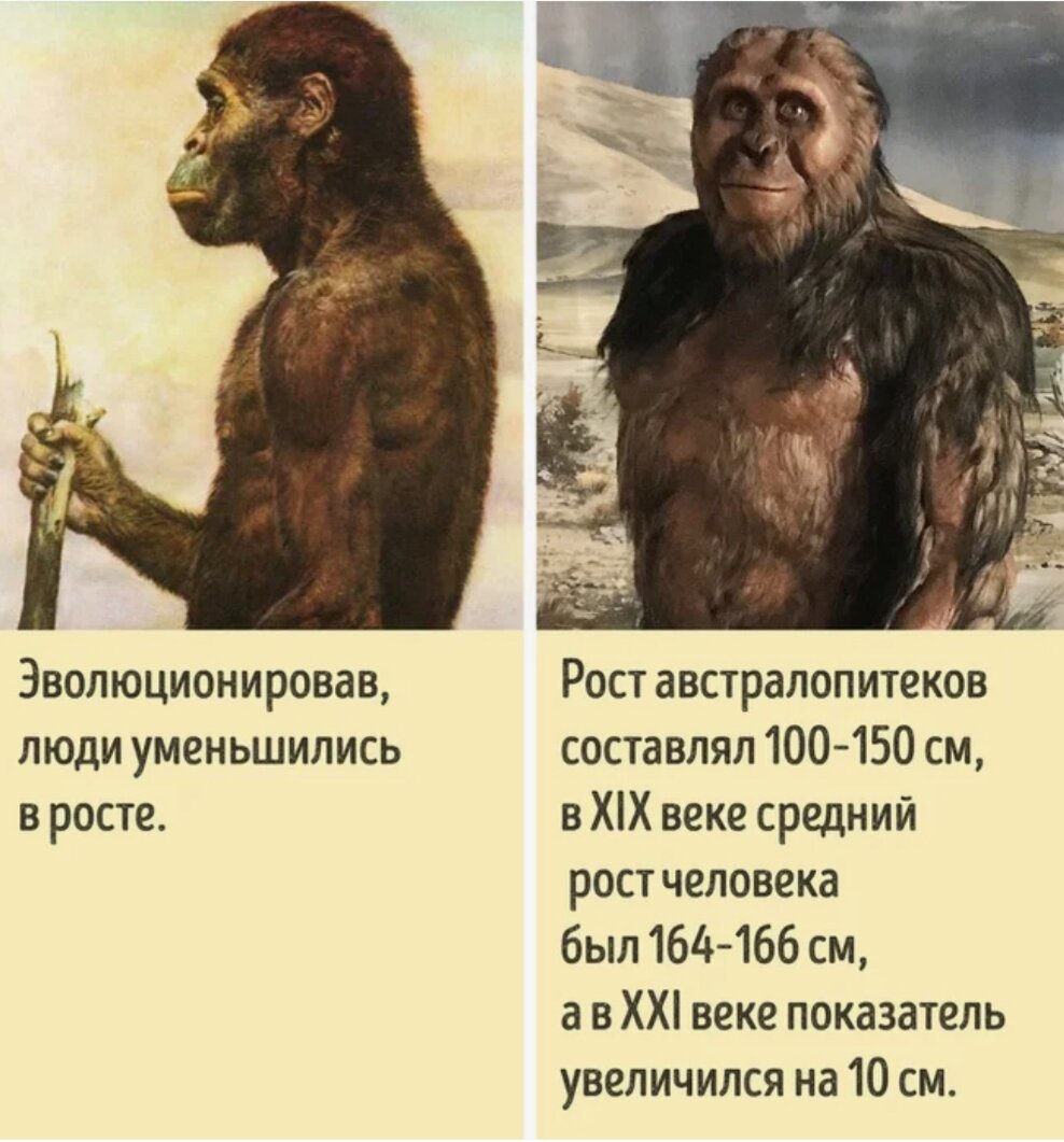 Эффект манделы примеры из жизни Эффект манделы почему так называется