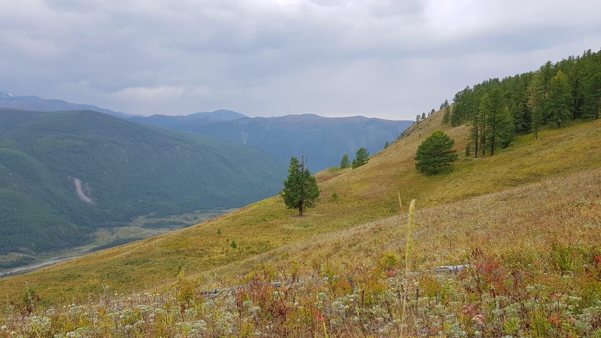 Гармония природы. Фото автора