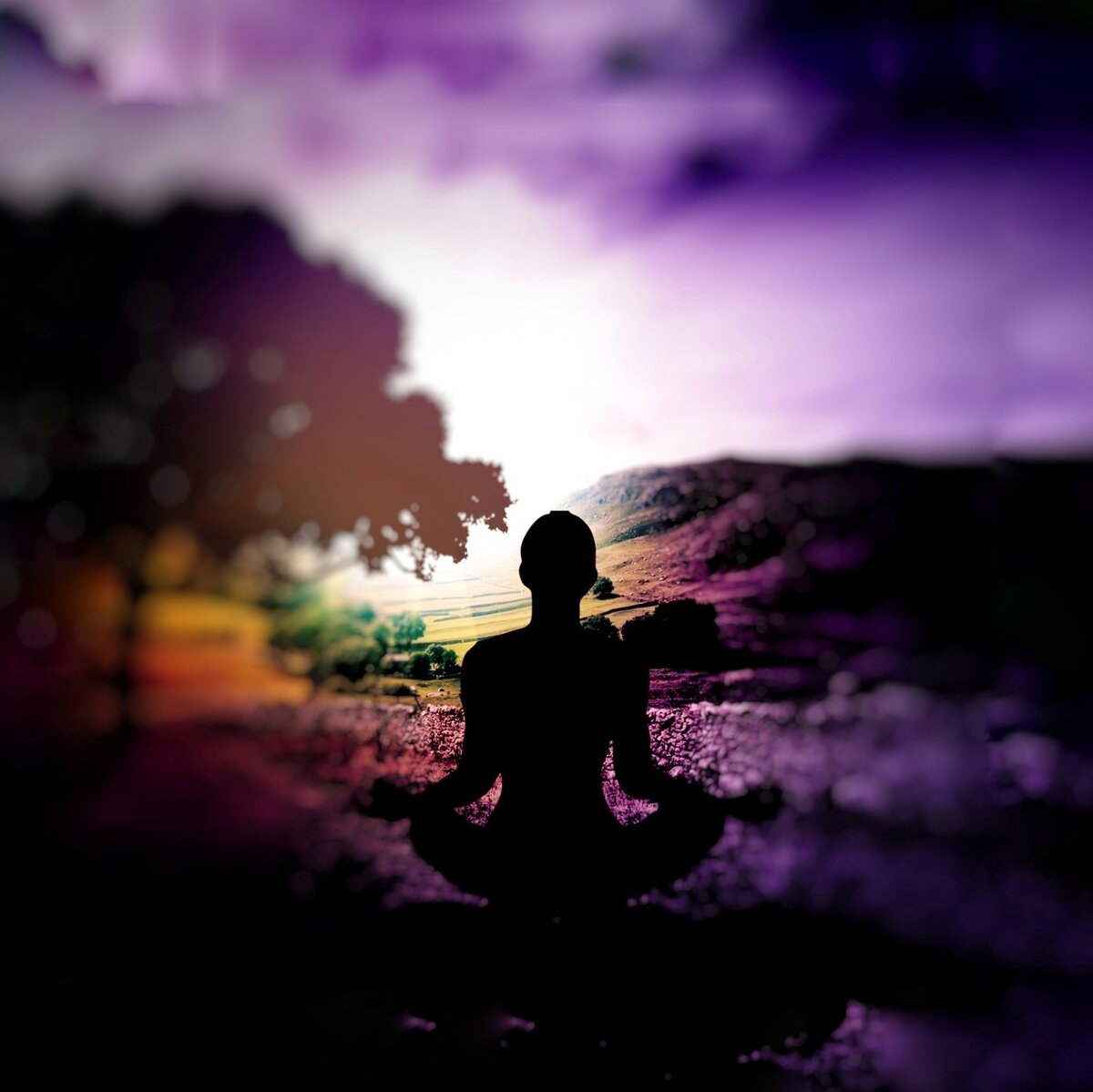 Эго - не враг, а всего лишь инструмент.