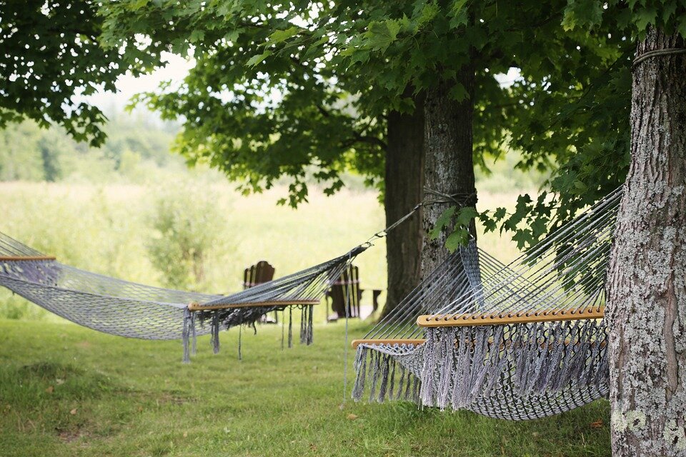 https://pixabay.com/photos/hammocks-trees-summer-relaxation-413714/