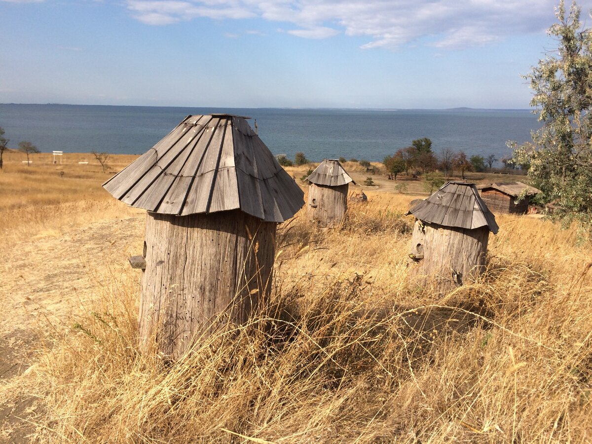 Музеи под открытым небом - кубанская станица Атамань | Art&Culture | Дзен