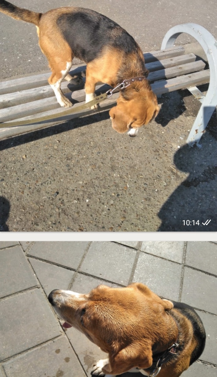 На прогулке