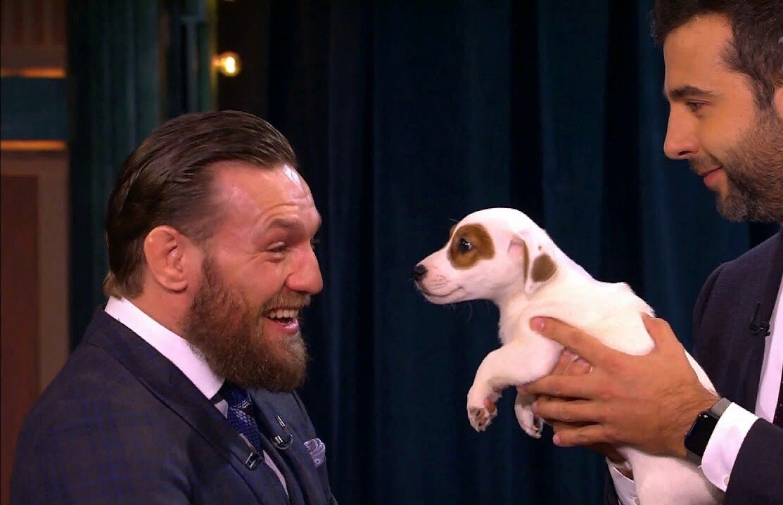 Битва взглядов.