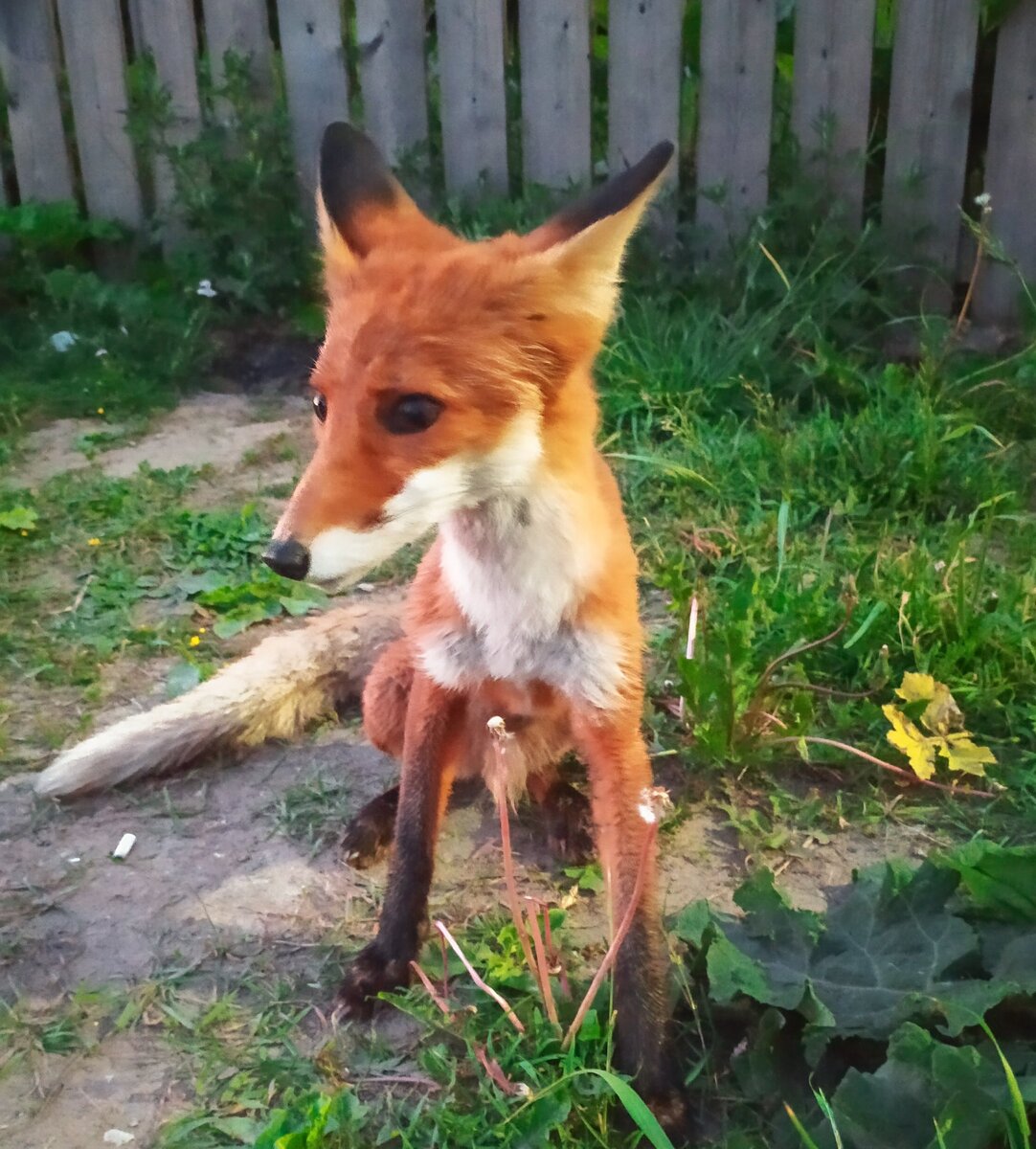 фотографии на трассе в с.Объячево, респ.Коми.