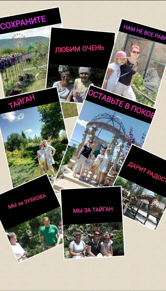 Источник: https://vk.com/taiganzoo