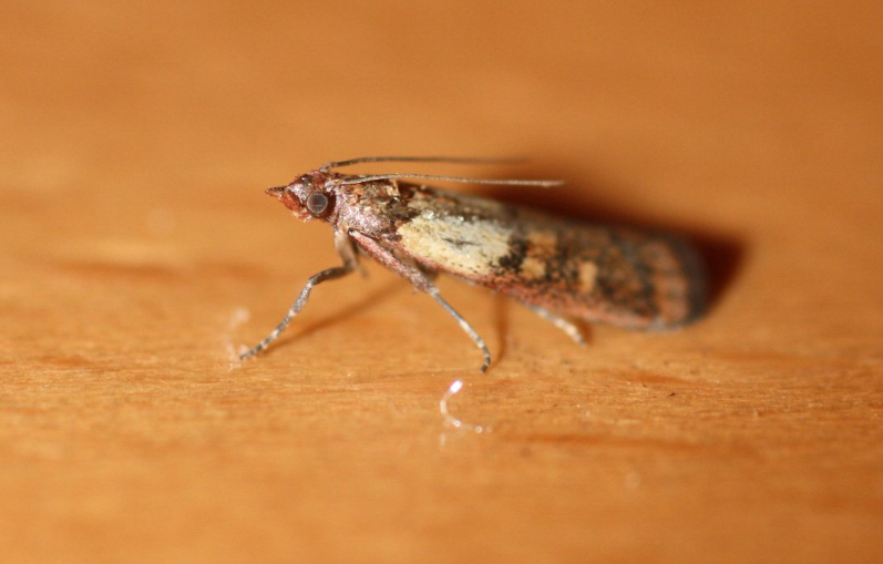 Фото взято из открытых источников