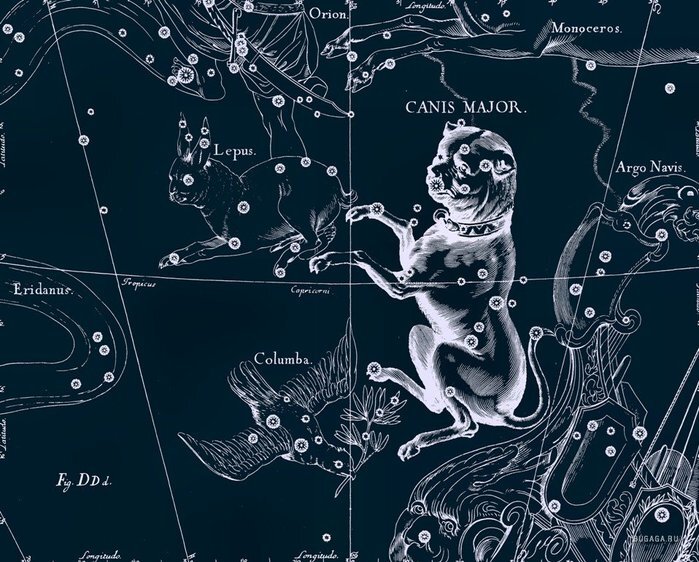Большой Пес (Canis Major)