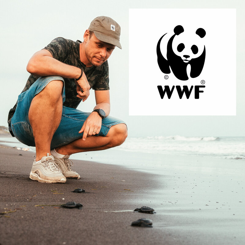 Теперь Армин ван Бюрен и WWF защищают Мировой океан от пластика вместе
