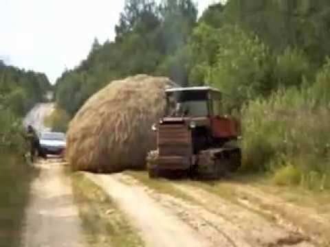 Фото с Яндекс картинок.