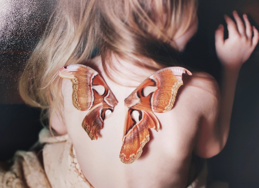 Картинка из интернет