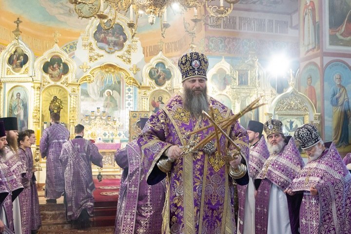 Фото из открытых источников.