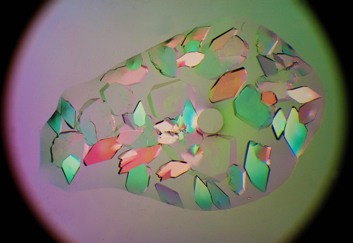 Кристаллический лизоцим