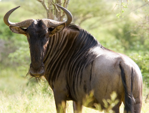 Фото в свободном доступе