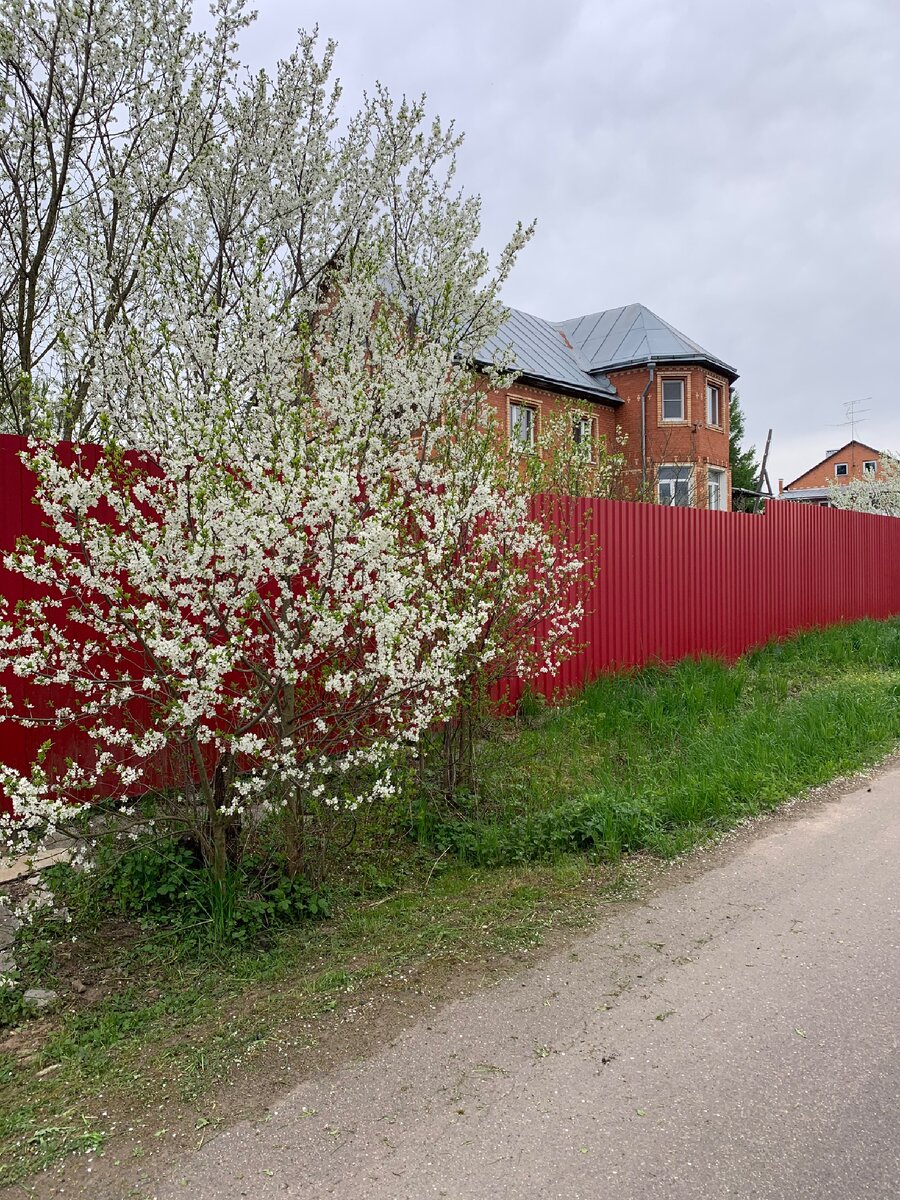 На противоположенной стороне реки