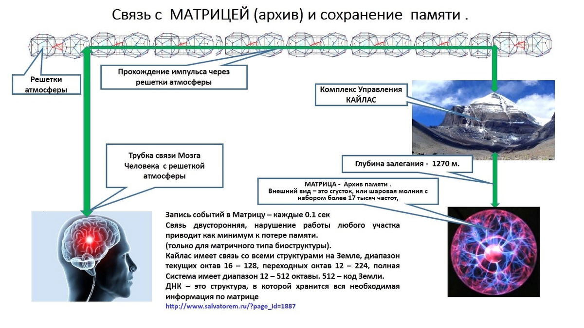 Открываем тайны работы сознания