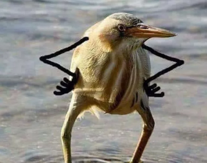 Выгляжу, выполняя комплекс ЛФК,  примерно так. Только я - в ночнушке...  (spb.flamp.ru)