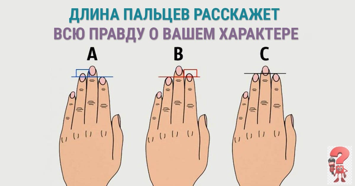 Уже сравнили длину пальцев? 