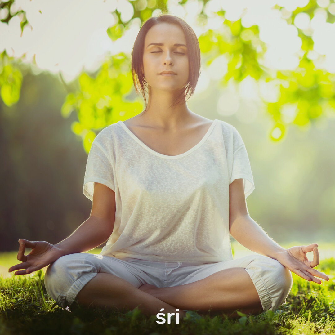 Художник алекс грей alex grey. Алекс грей врата миров. Психоделические картины алекса грея. Алекс медитации. Аура фон.