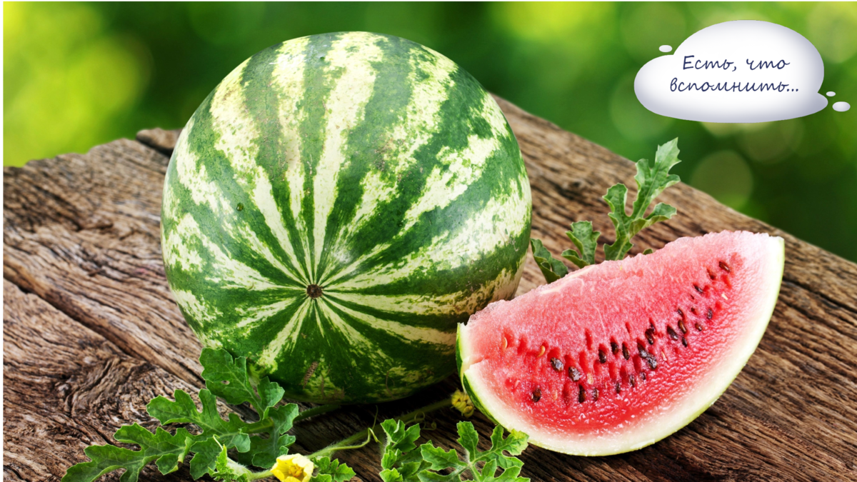 Фото взято из свободного доступа источников интернета Яндекс.картинки