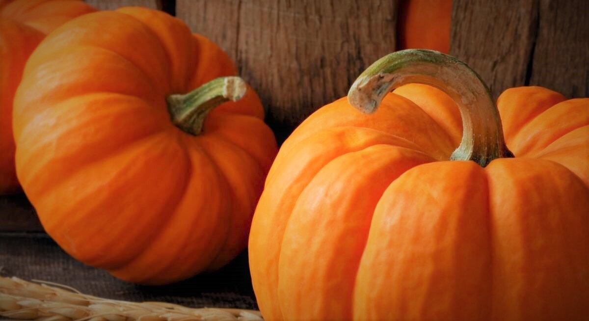 Народная Медицина 23