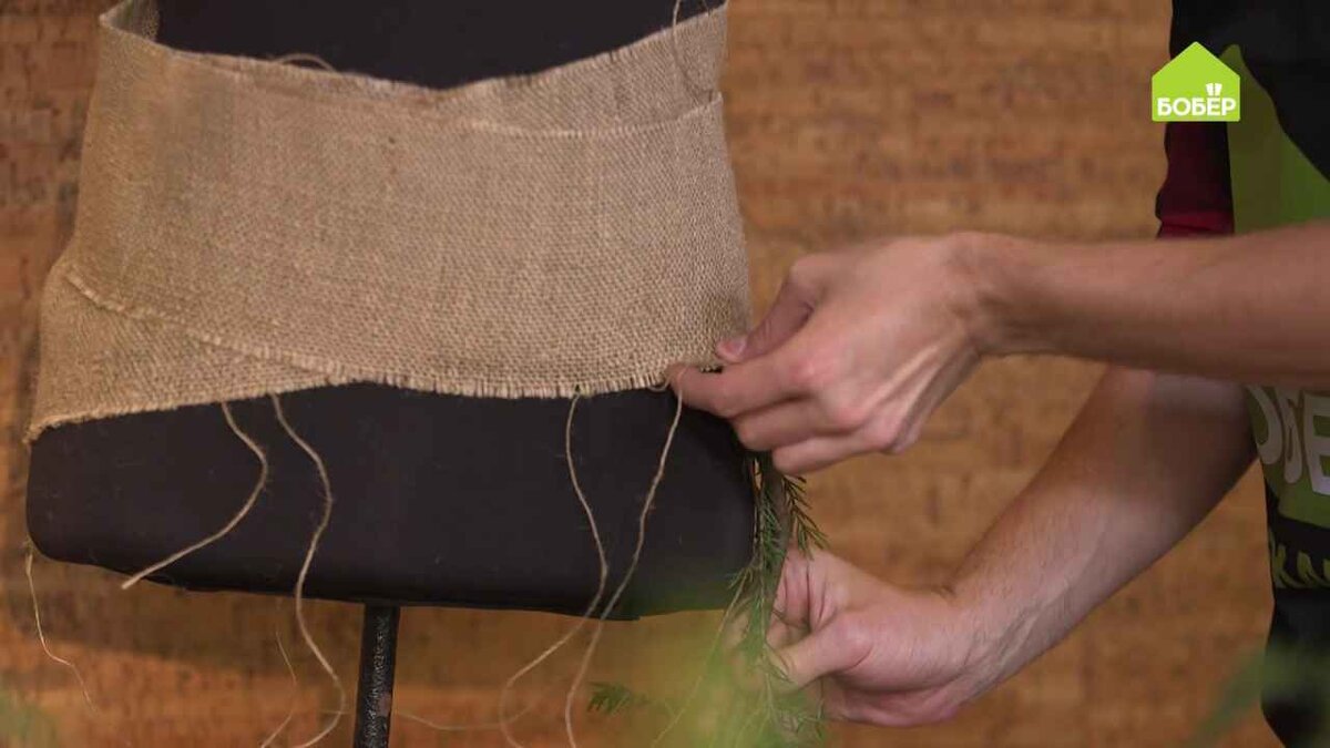 Вложите еловые ветки под пояс. Для начала выбирайте самые пушистые и большие ветки.