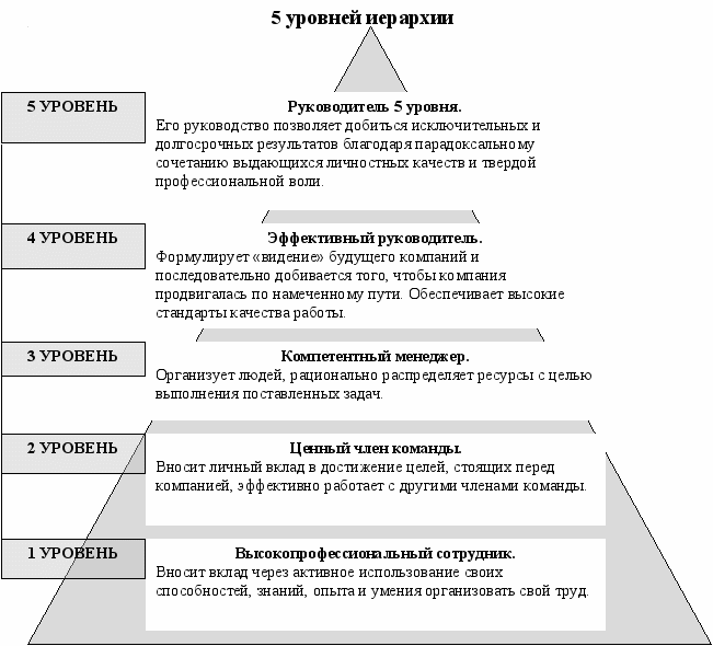 Укажите уровни. Пять уровней руководителя. Уровни руководства в организации. Руководители 2 и 3 уровня. Уровни руководителей в организации.