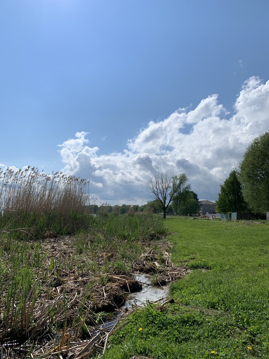 Местами берег выглядит вот так