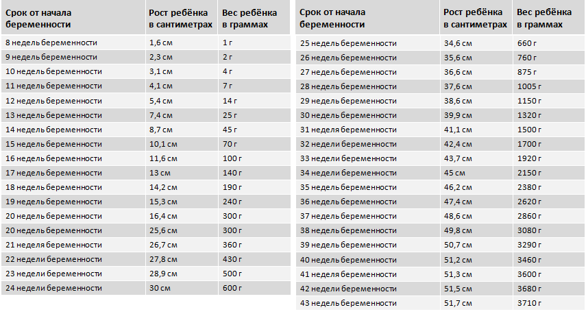 Норма веса 22 недели беременности