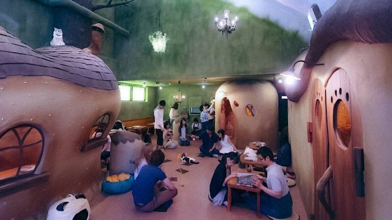 Некоторые кошачьи кафе славятся еще своим необычным интерьером