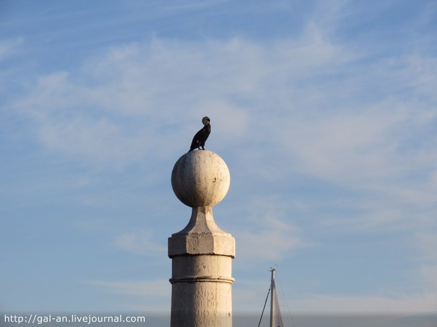 Река Тежу, Лиссабон, фото автора. Листайте галерею, чтобы увидеть больше
