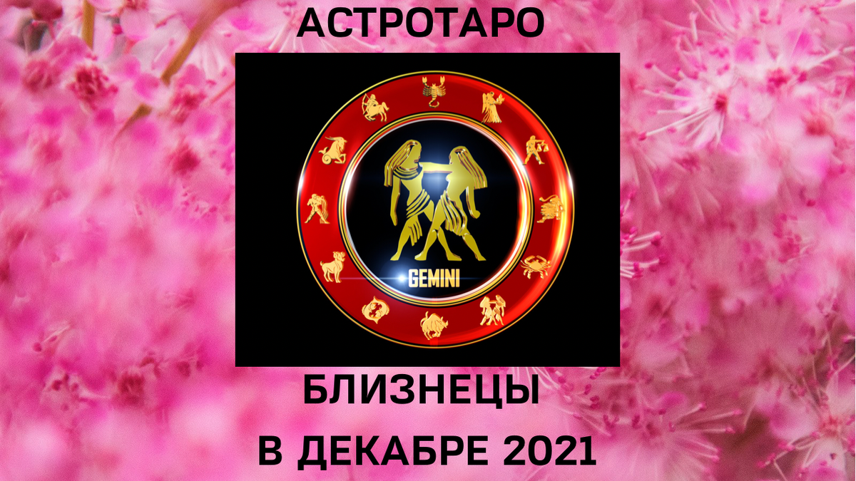 Близнецы 