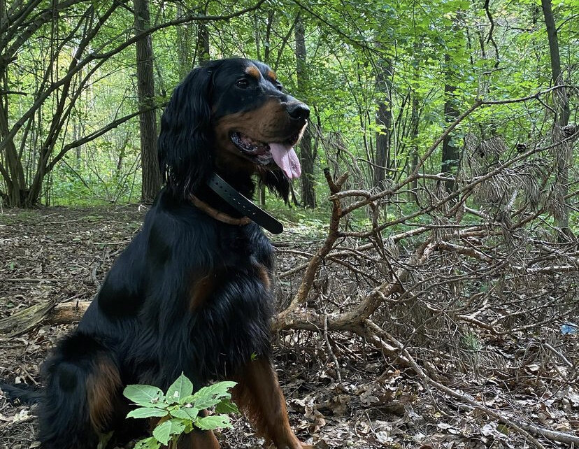 Фото взято с инстаграм Графа majestic_graf