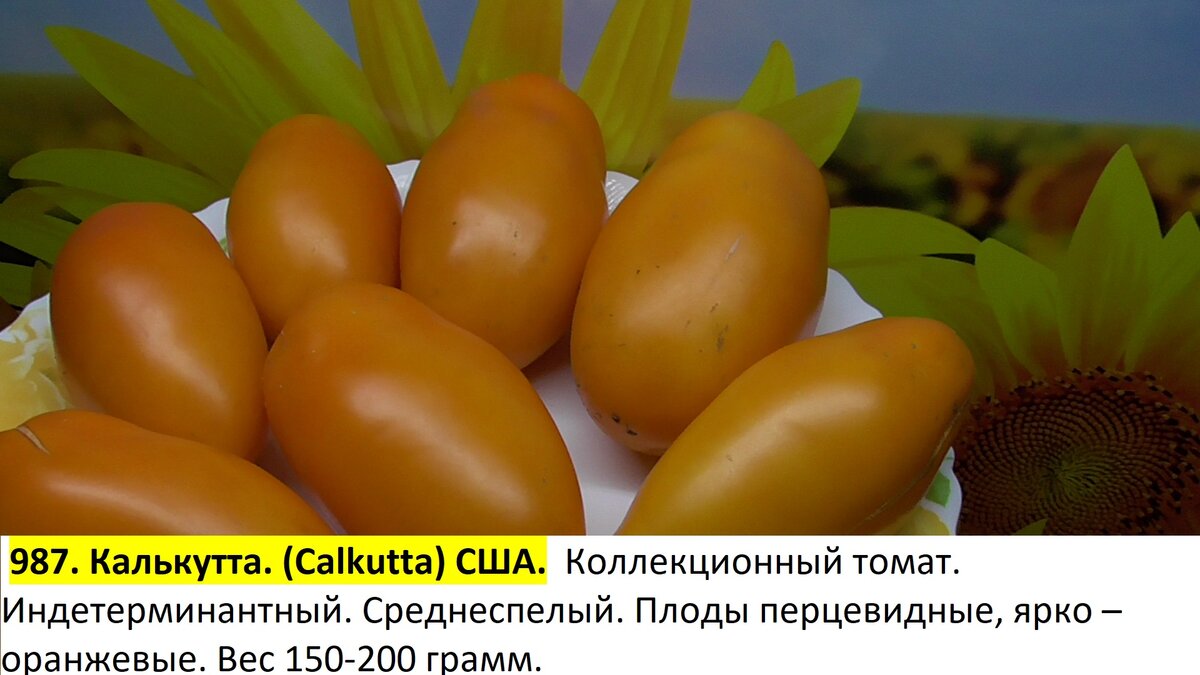 -117