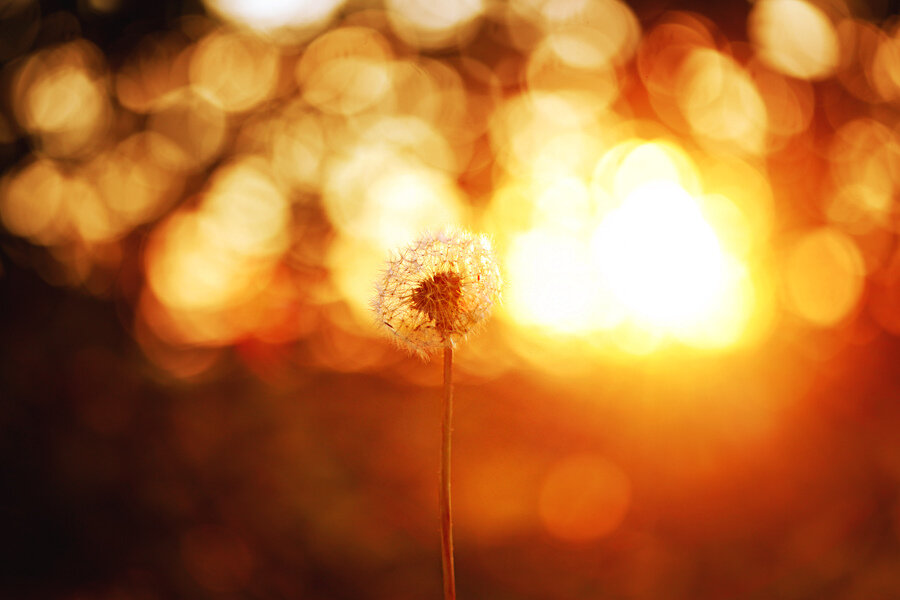  Фото взято с сайта: photo.99px.ru