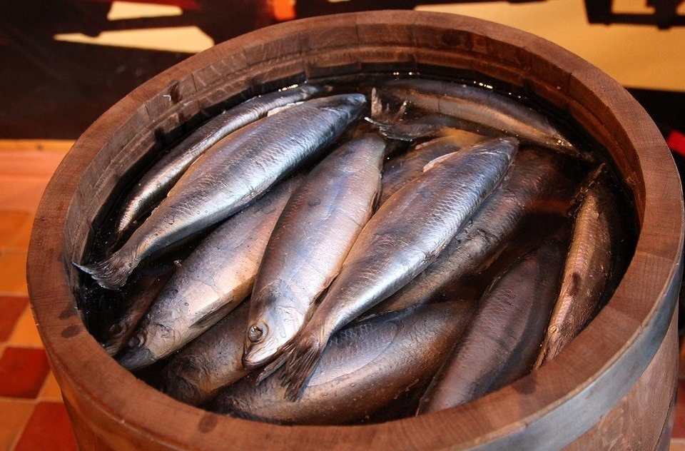 источник яндекс картинки