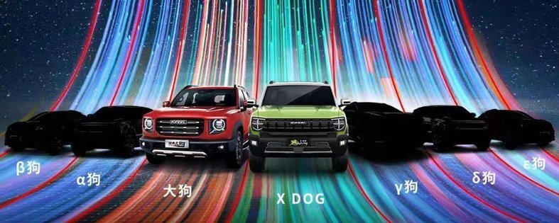 Big Dog и X Dog (Cool Dog)