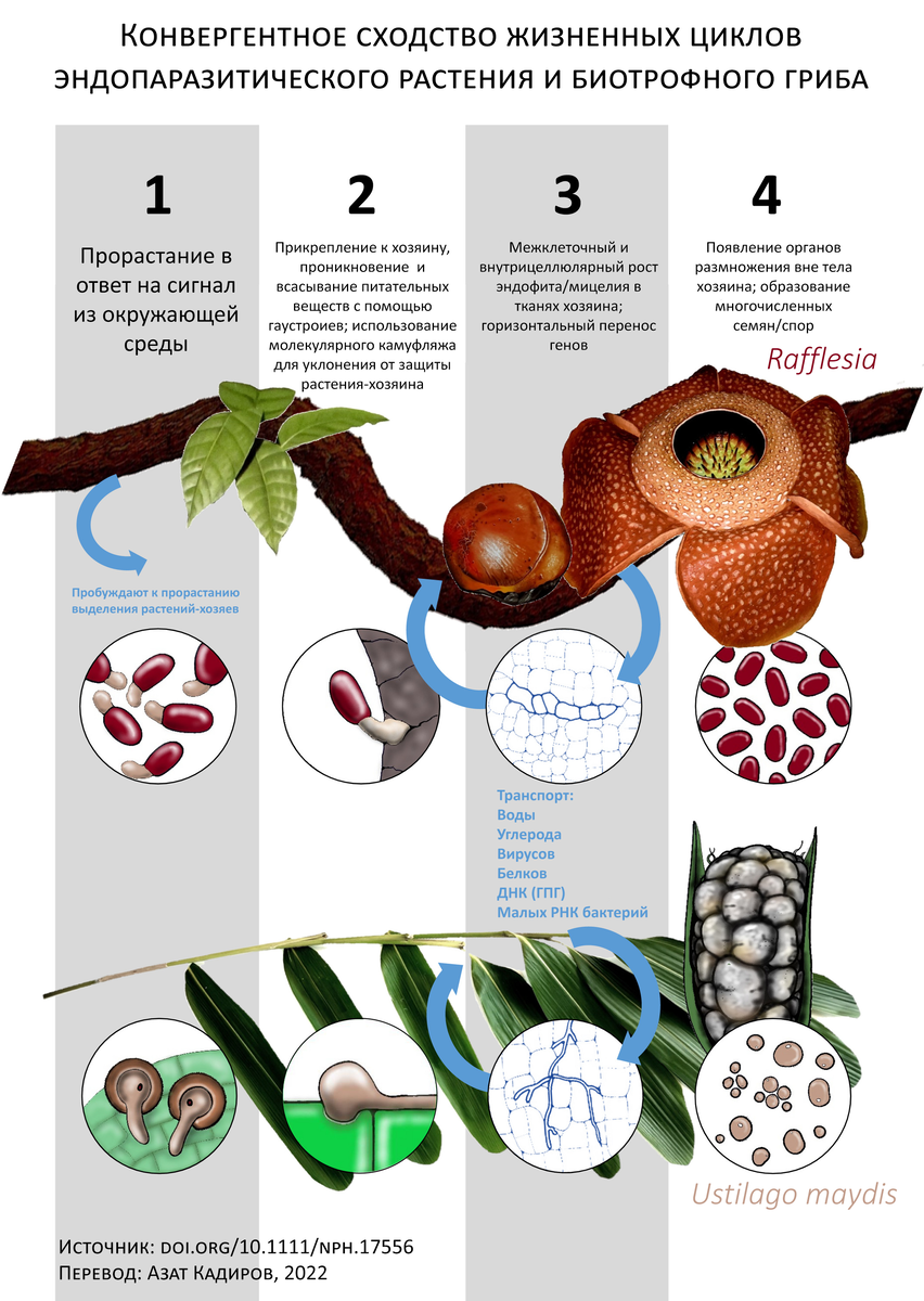   3          :       , ,  ,     ; ,     -, . .   .