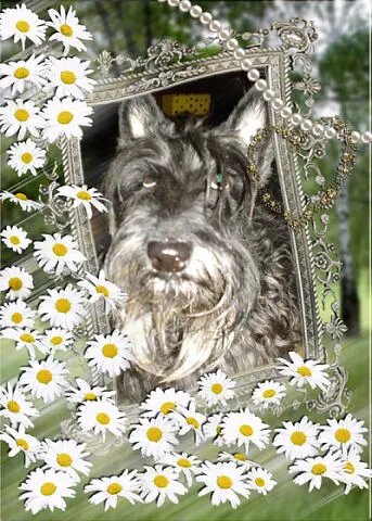 Зазноба с Наянова двора 