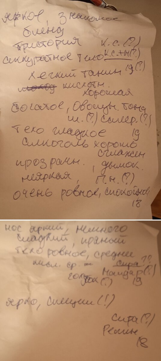 Записки сумасшедшего, они же – поиски истины