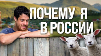 Веселый молочник Джастас Уолкер о фермерском бизнесе в России