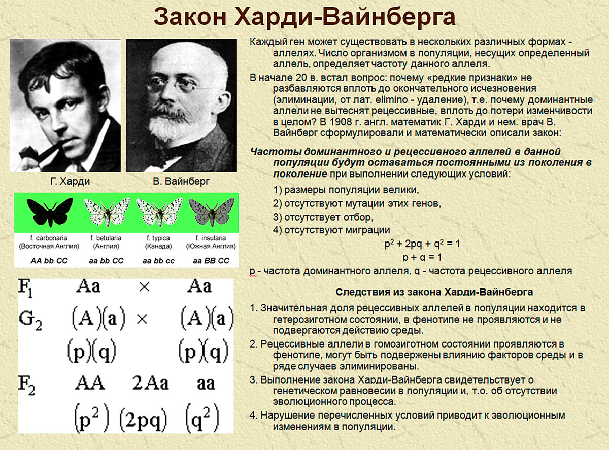 Пример слайда авторской Презентации репетитора кбн Богуновой В.Г.