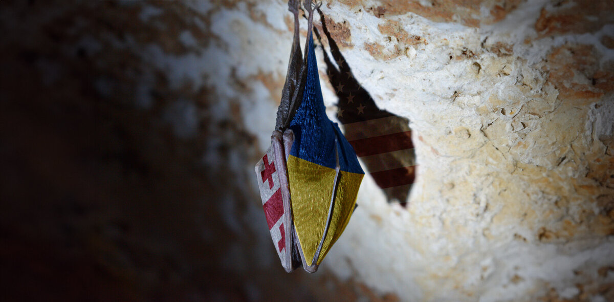Фото: Tine Ivanic/Unsplash. Коллаж: Анна Бабич
