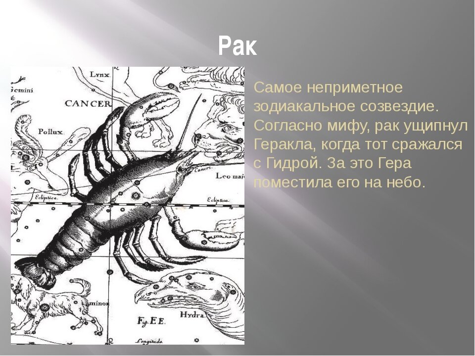 Презентация на тему созвездие рака 11 класс