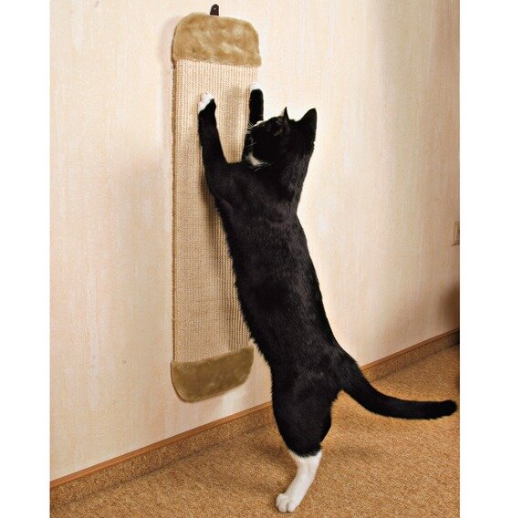 Как сделать когтеточку на стену, чтобы кот не драл обои | Remonok | Дзен