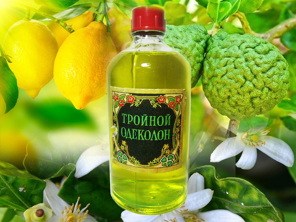 Три основных компонента Тройного одеколона: Лимон, бергамот и нероли.