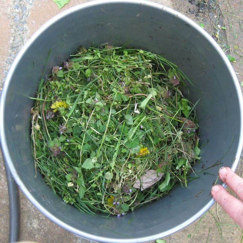 Закладка травы