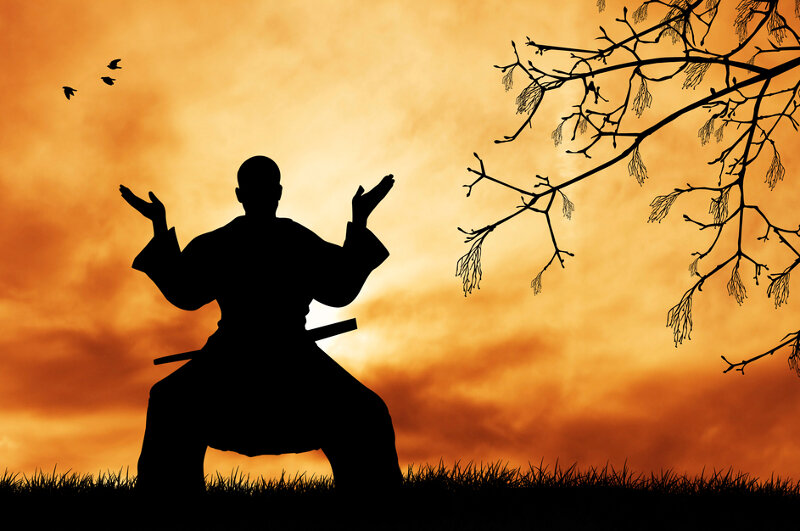 В Японии возник дефицит ниндзя | Finfront | Дзен