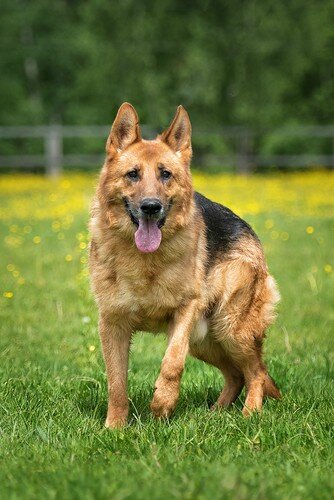 Посейдон сейчас.