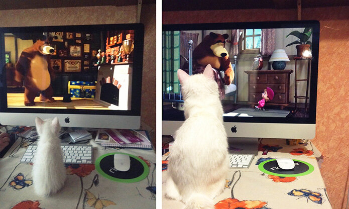  Вырос, а мультики любит по-прежнему.