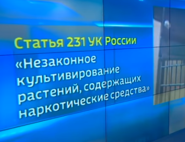 Выдержка из статьи